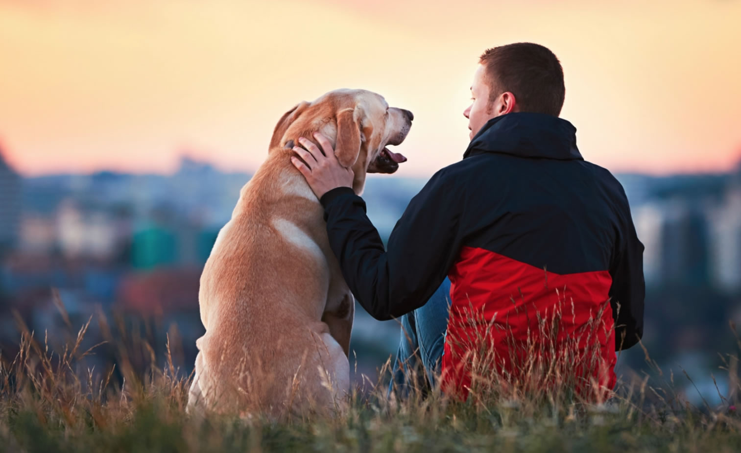 Man petting dog at sunset overlooking a town in distance